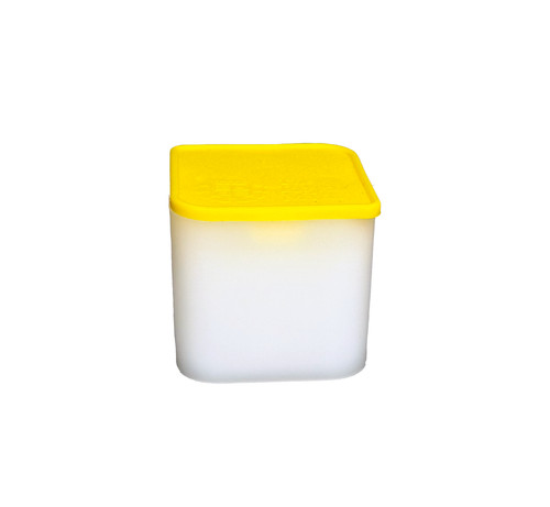 Official empty royal mint gold - mint,