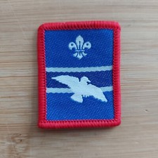 Current UK Scouting Scout