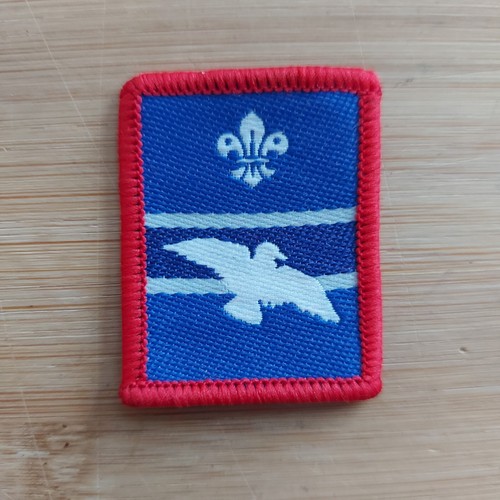 Current scouting scout - uk,