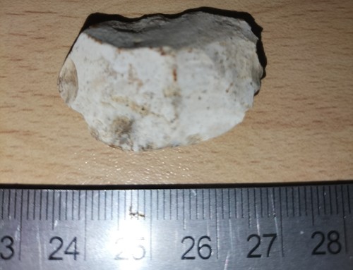 Neolithic flint tool/Scraper