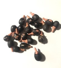 BRITAINS Eyes Right Guards