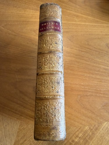 The natural history - history, of