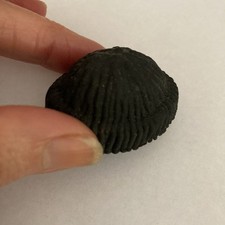 Vintage Action Man -PALITOY -