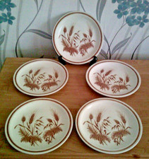 VINTAGE 1960s CHURCHILL Stonecast Homespun "Wild Harvest"  Set of 5 Salad Plates