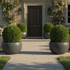 Trifibre Roto Moulded 83cm Heavy Duty Outdoor Premium Plant Pot 175L Planter