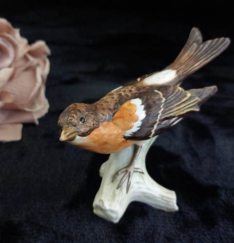 Goebel bird figurine cy86 5in - goebel,