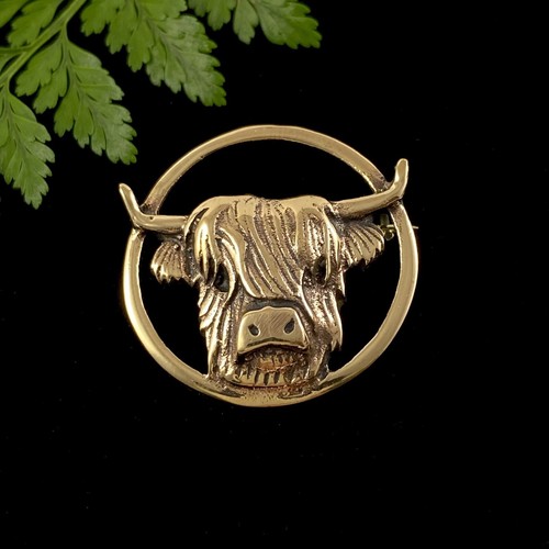 Handsome highland cow coo - highland,
