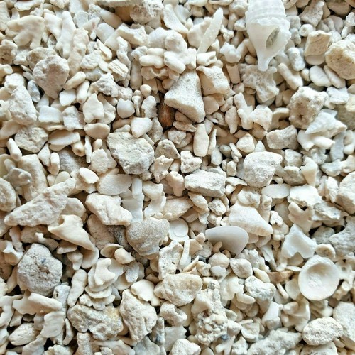 Crushed coral with free - with,