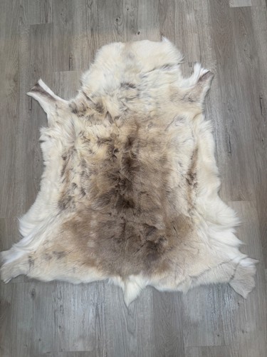 Luxury sami reindeer - ,