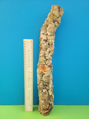 Cork bark branch 44cm - cork,