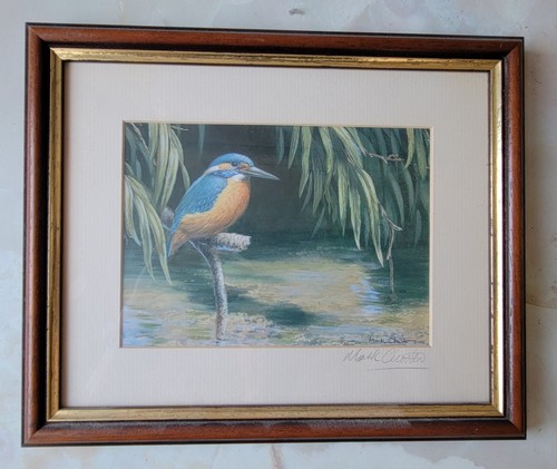 Mark chester signed kingfisher - chester,