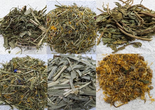 Dried forage natural - dried,