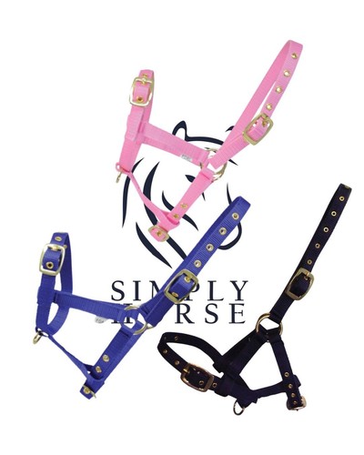 Equestrian foal slip - equestrian,