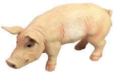 Real Life Large Piglet  Resin