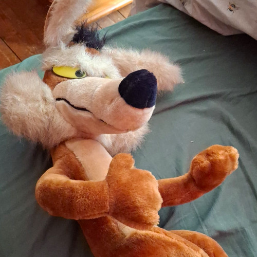 Looney tunes wile - looney,