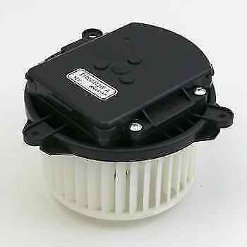 Honda genuine insight - genuine,