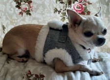 TWEED DOG HARNESS WAITCOAT