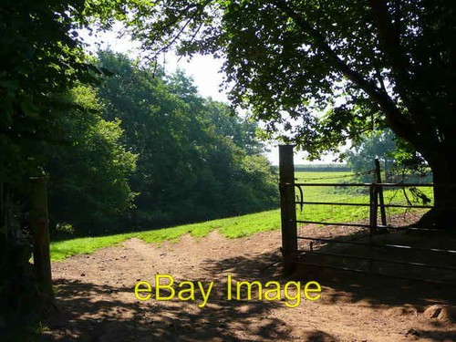 Photo 6x4 gate - photo, this