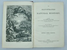 1863 REPTILES, FISH & MOLLUSCS