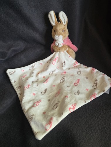 Peter rabbit flopsy bunny - rabbit,
