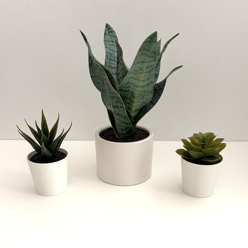Faux cacti set of - -,