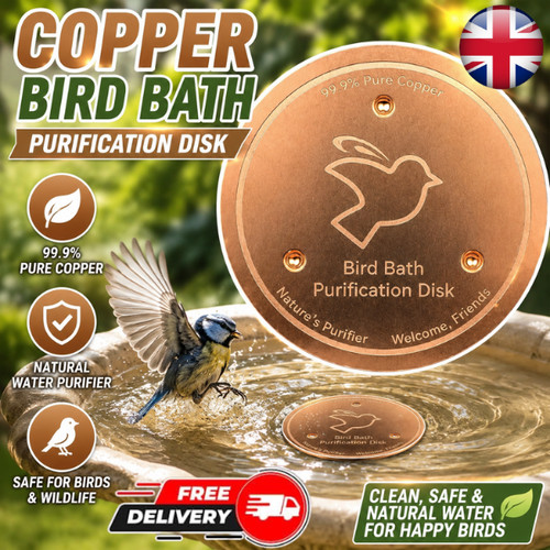 Bird bath copper disk - copper,