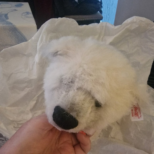 Steiff knut polar bear - knut,