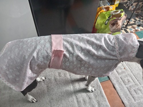 Greyhound handmade summer - ,