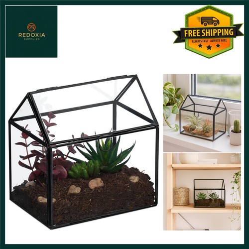 Stylish glass house terrarium - stylish,