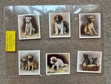 Godfrey Phillips, Our Puppies