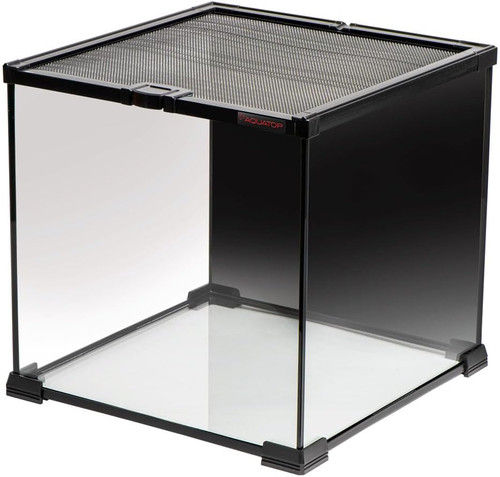 Gallon cube terrarium with - 7.1,