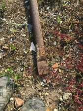 1 Five Foot scaffold tube /