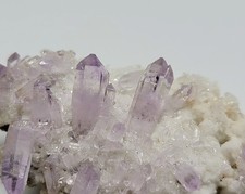 Gemmy Amethyst on Selenite -