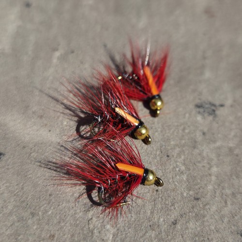 Claret snatcher fly - x,