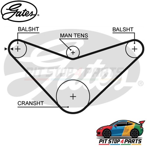 For honda accord timing - timing, belt
