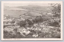 The Woodlands, Combe Martin, North Devon. Vintage Village View Postcard