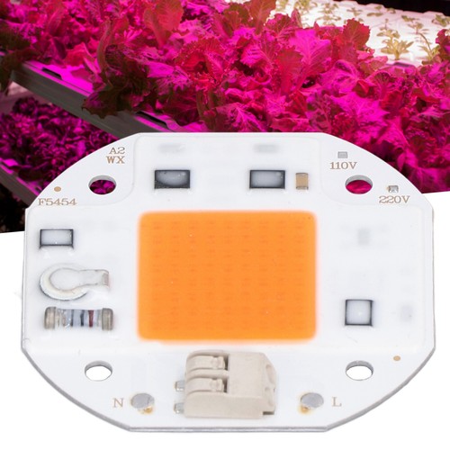 High power led - power,