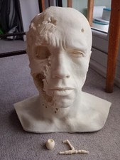 Schwarzenegger Terminator T2 Bust Prop 1:1 Stage 5 Make Up Life Size