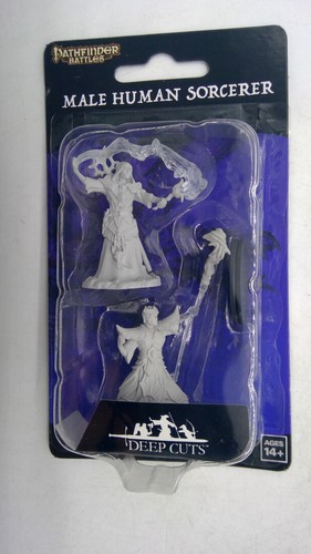Pathfinder battles miniature - pathfinder,
