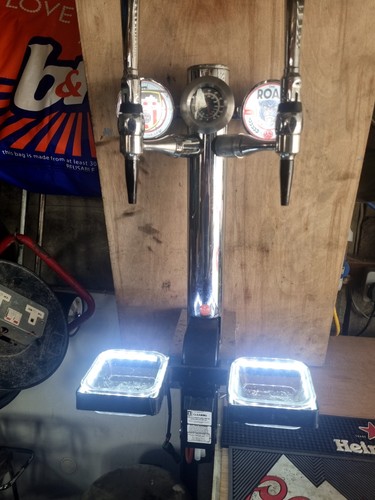 Garden bar man cave - bar,