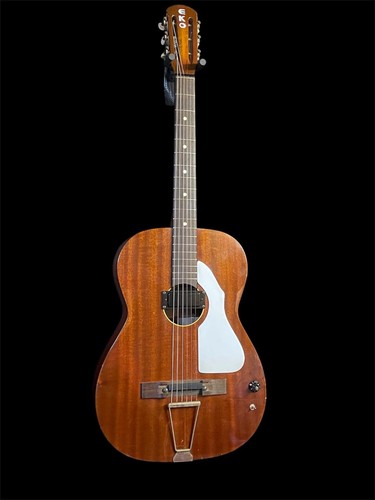 Vintage parlour guitar with - parlour,