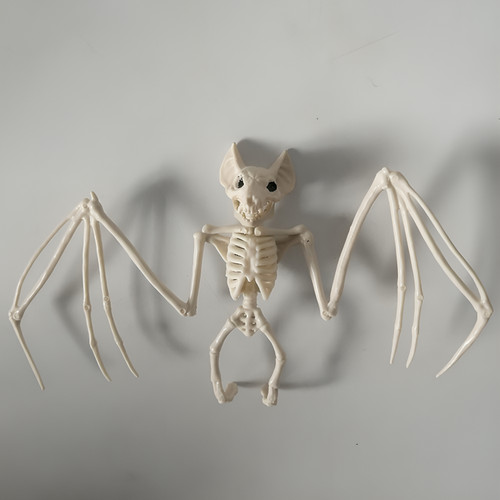 Halloween bat skeleton - halloween,