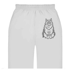 'Himalayan Cat' Adult