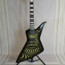 Custom Electric Guitar Zakk
