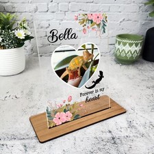 Lizard Bearded Dragon Memorial