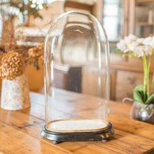 Slimline Antique Display Dome