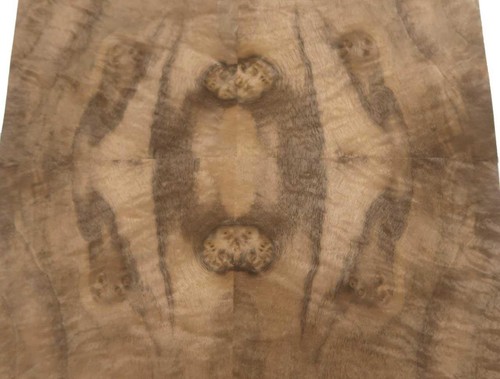 Walnut root wood veneer - walnut,