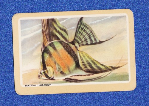 Vintage woolworths fish - vintage, swap