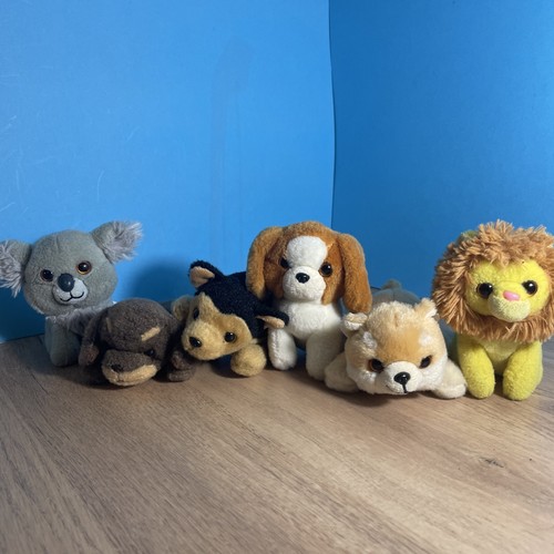 Russ petooties pets - russ,