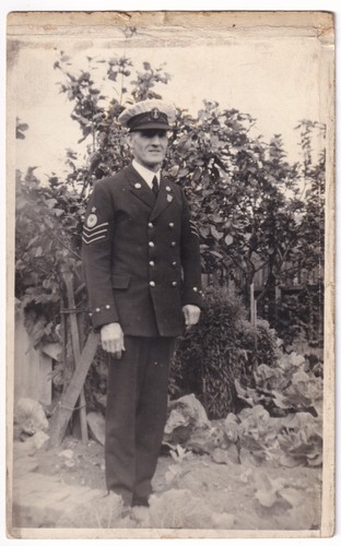 Royal navy petty officer j - petty,